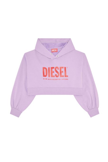 ライラック ディーゼル Skralogo