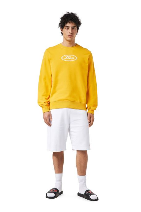 P-crown-div ディーゼルホワイト