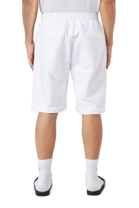 P-crown-div ディーゼルホワイト