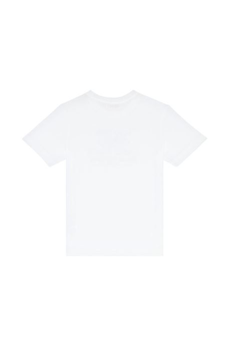 Tdiegork48 ディーゼルホワイト