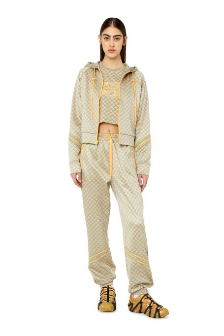 Awst-dana-ht22 ディーゼルブラウン