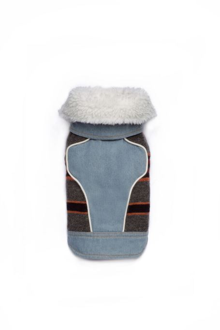 Pet-ed ディーゼルブルーライト