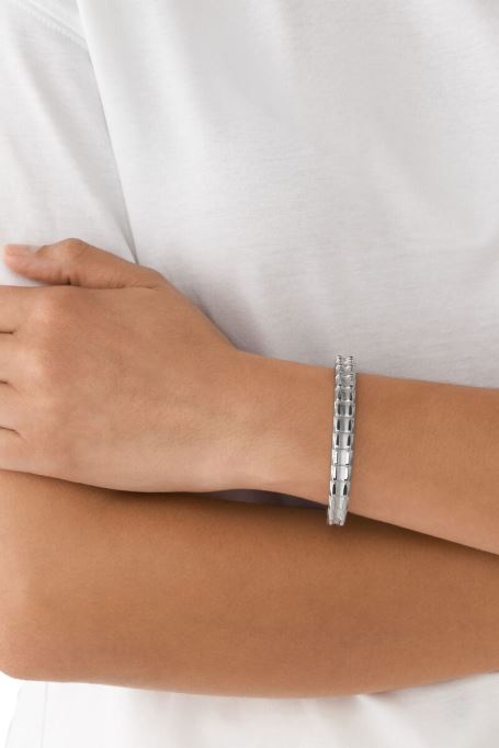 シルバーディーゼル Dx1395