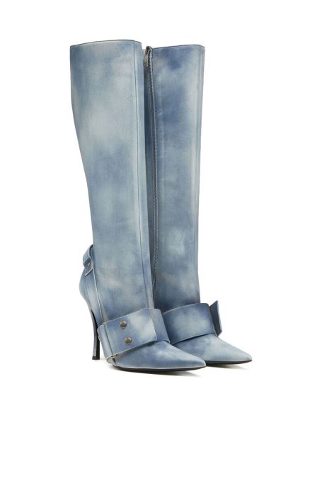 ブルーディーゼル D-ヴィーナス Wb