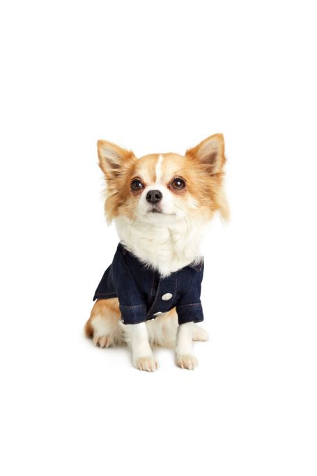 ペットフレーム ディーゼルダークブルー