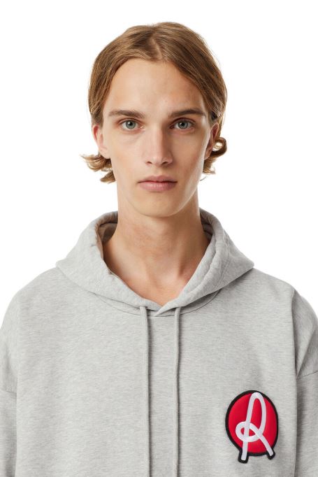 Lr-s-girk-hood-vic ディーゼル ライトグレー