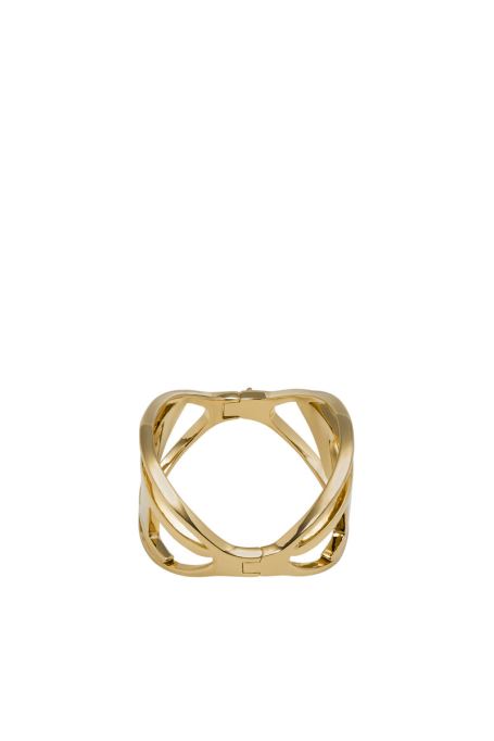 ゴールドディーゼル Dx1365