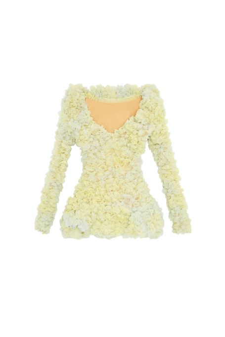 黄色のディーゼル D-ライザ