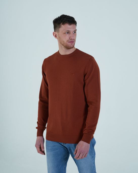 ディーゼル デイル ラウンドネック ジャイプール ジンジャー レッド