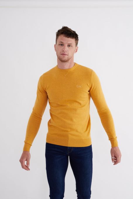 デール ラウンドネック ミネラルイエロー メルディーゼル