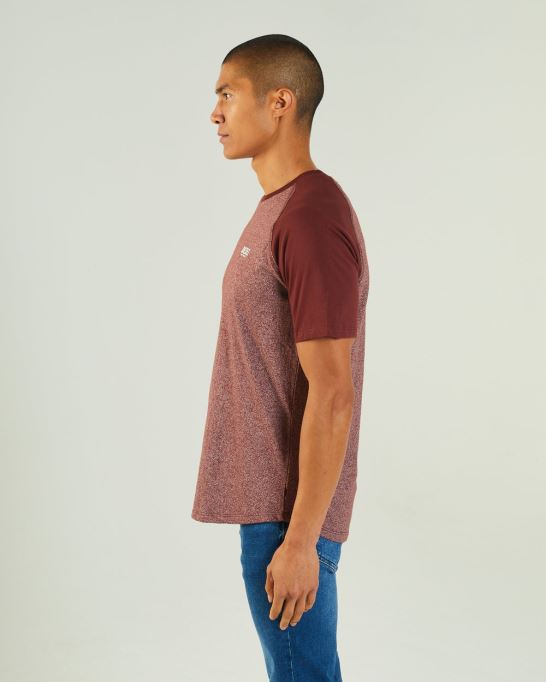 赤いラファエル ティー ヴィンヤード ディーゼル