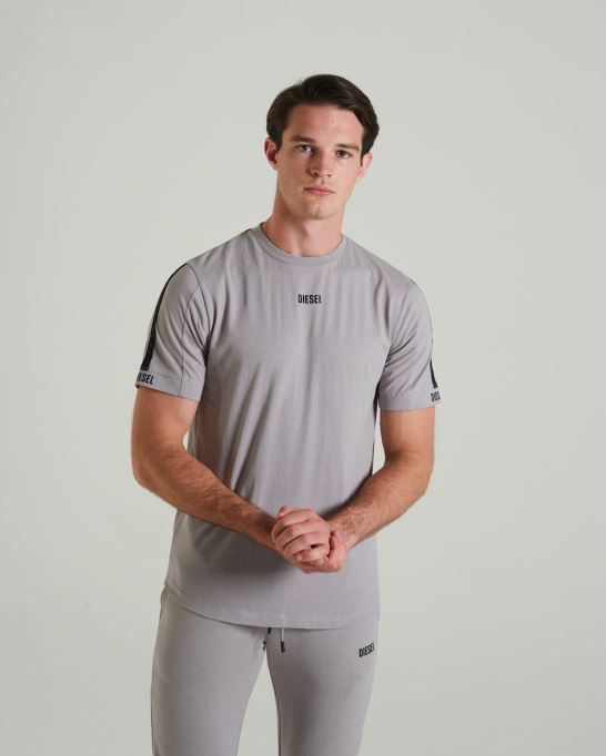 ライトグレー ティベリウス ティー化石 石ディーゼル