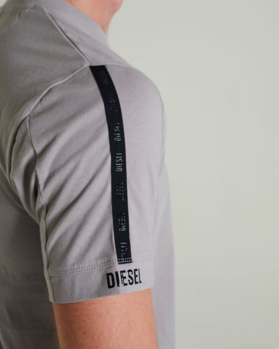 ライトグレー ティベリウス ティー化石 石ディーゼル