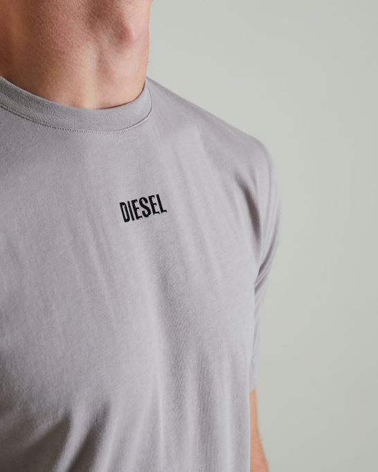 ライトグレー ティベリウス ティー化石 石ディーゼル