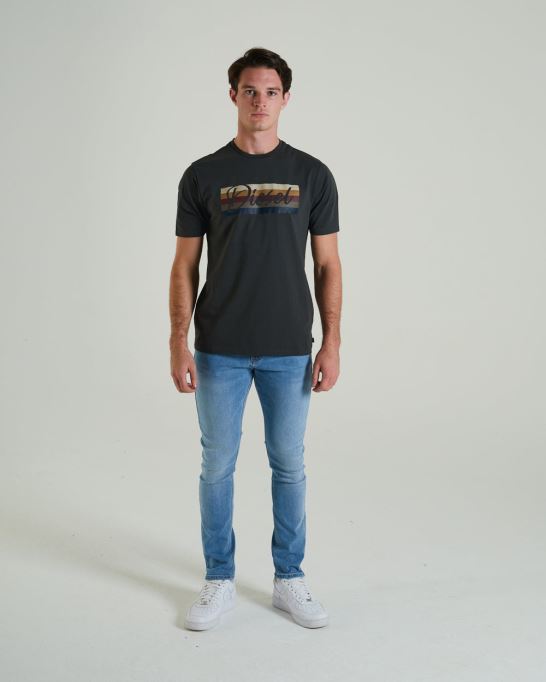 パトリシオ ティーディープ パイン ディーゼル グリーン