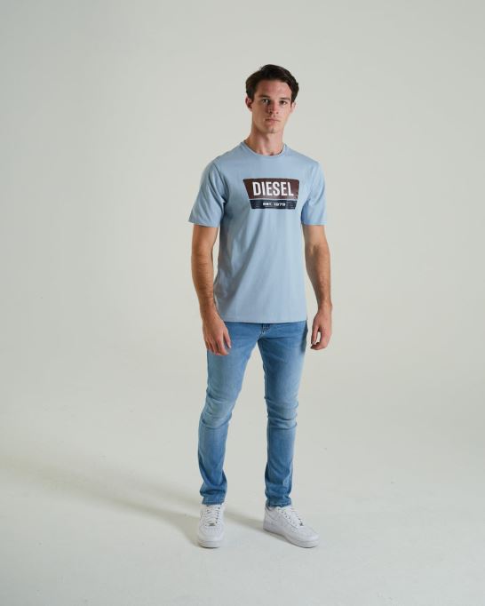 ペンティーブルーフォグディーゼル