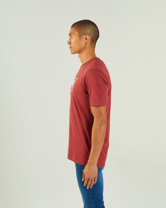 ディーゼルミラーティーレッド ゲートウェイイド