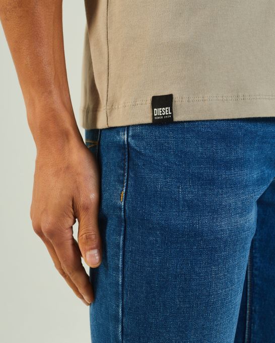 ディーゼル ベーシック スコット オー ネック ティー ロック ビスケット ベージュ