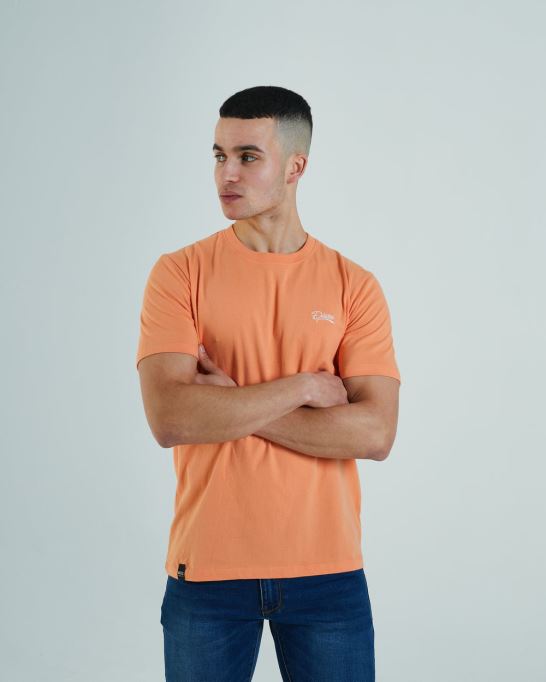 ディーゼル ベーシック スコット オー ネック ティー コスミック コーラル オレンジ