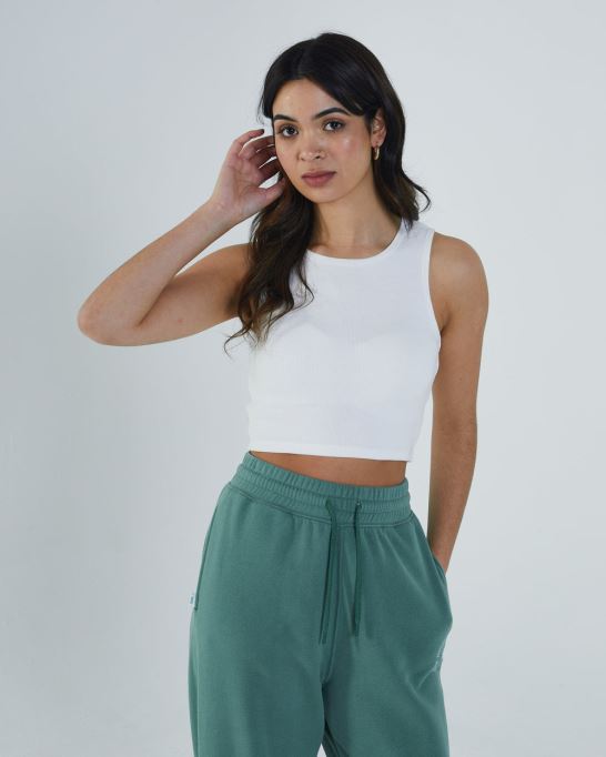 オフライン ドーリー ベスト クラウド ディーゼル