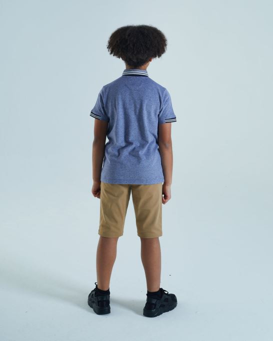 パープルバーノン ポロ コバルトバーズアイ ディーゼル