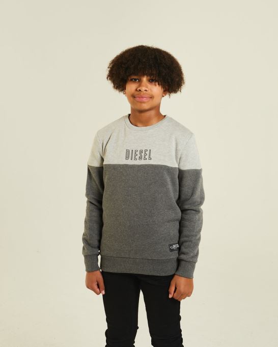 レッド ディーゼル バーニー セーター グレー