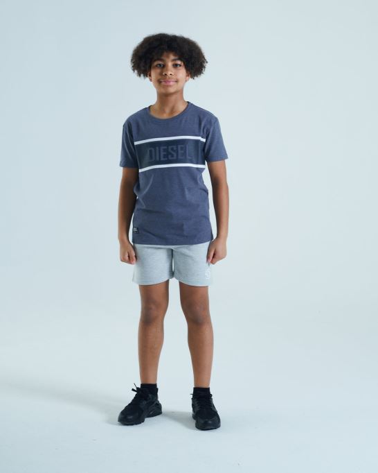 ディーゼル ドイル ティー デニム メランジ ブルー