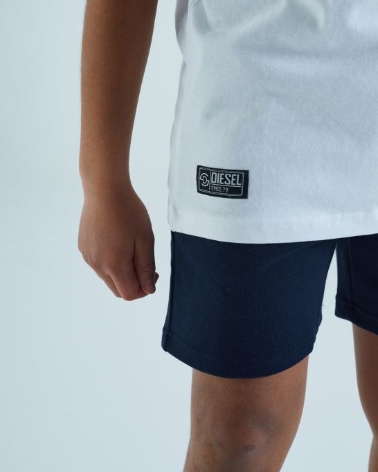 ドイルティー ディーゼルブルー