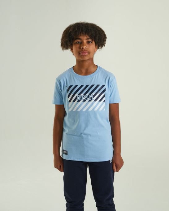 トロイティー スカイブルー ディーゼル