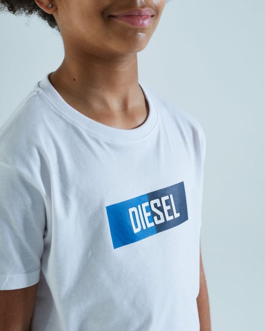 ガノンティー ブルー ディーゼル