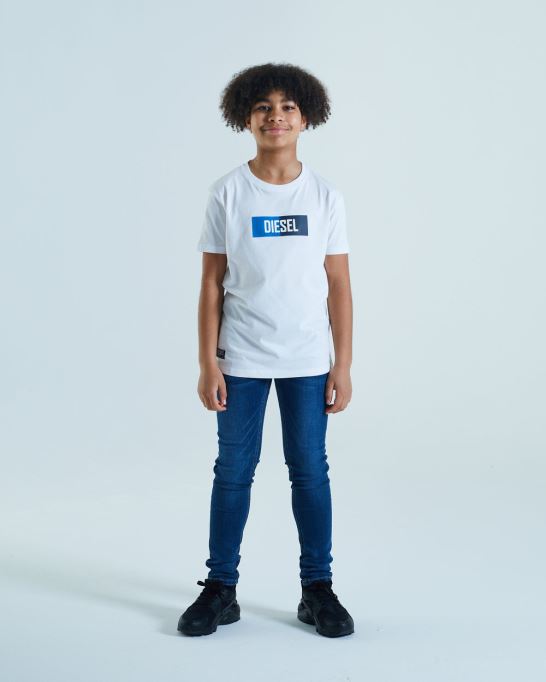 ガノンティー ブルー ディーゼル