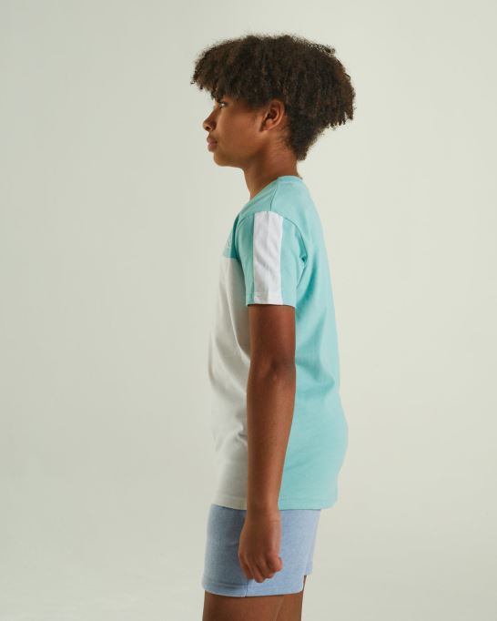 ノアティー ミント ディーゼルピンク