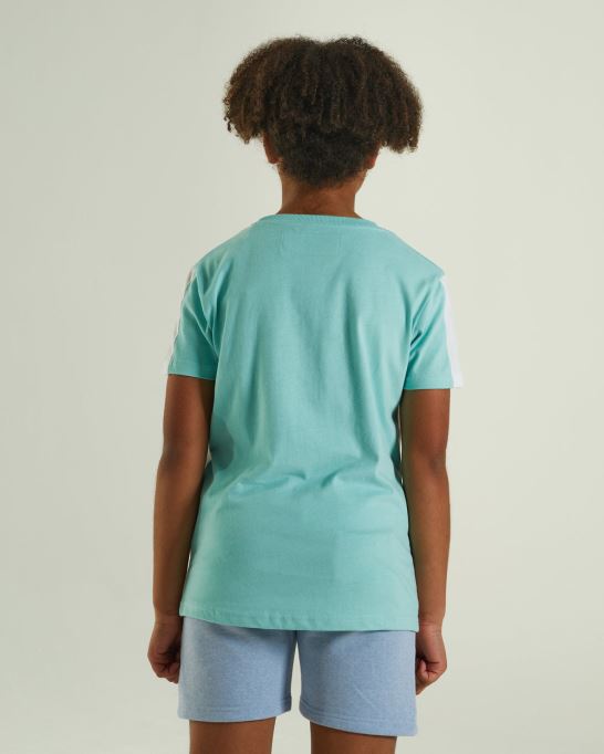 ノアティー ミント ディーゼルピンク