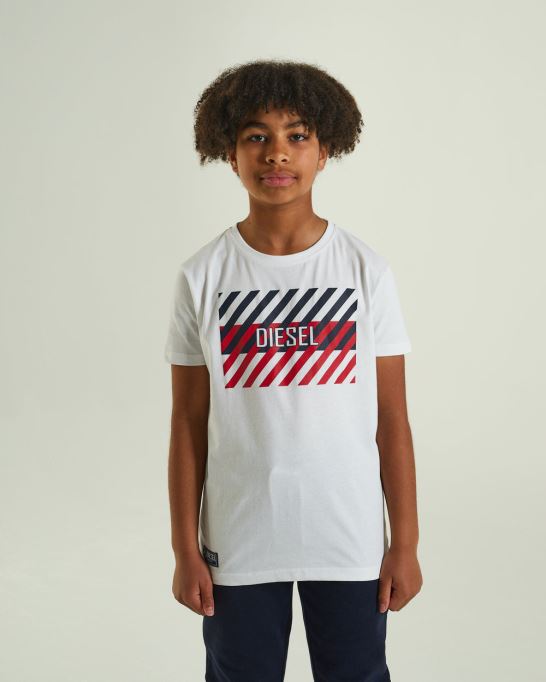 トロイティー ディーゼルブルー