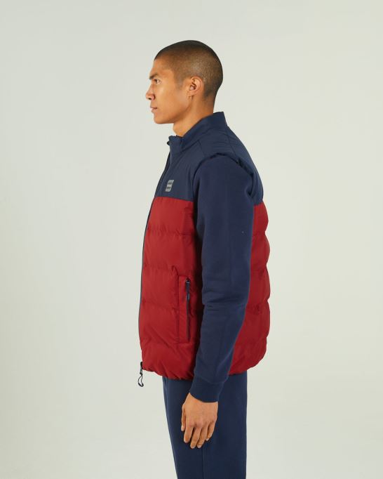 ガストンジレ レッド ダリア ディーゼル ブルー