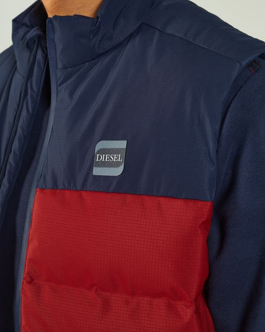 ガストンジレ レッド ダリア ディーゼル ブルー