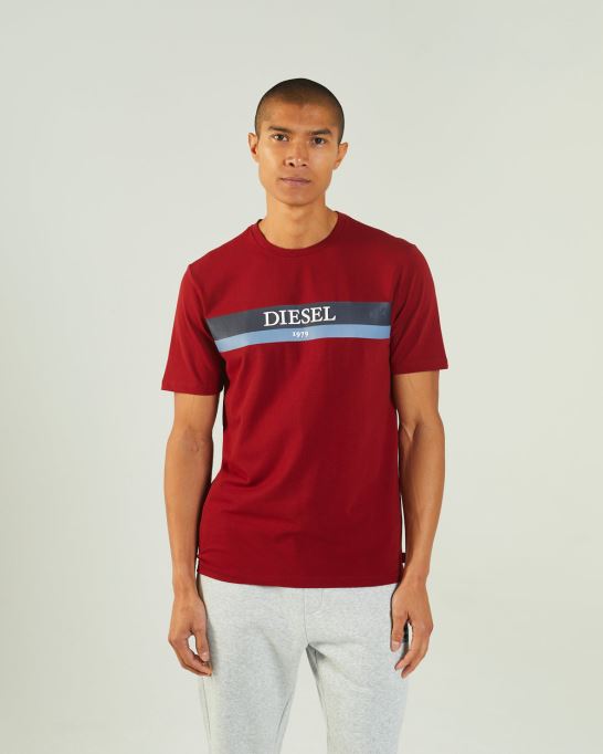 ネイビー ホイット ティー レッド ダリア ディーゼル