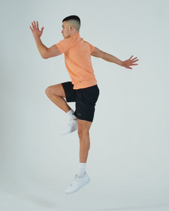 ディーゼル Aaro T シャツ コスミック コーラル パープル