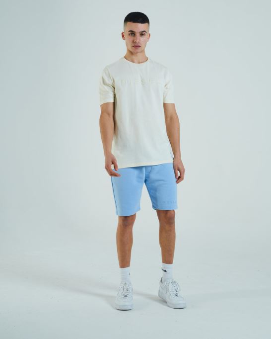 シェイン ティー メロー イエロー ディーゼル オレンジ