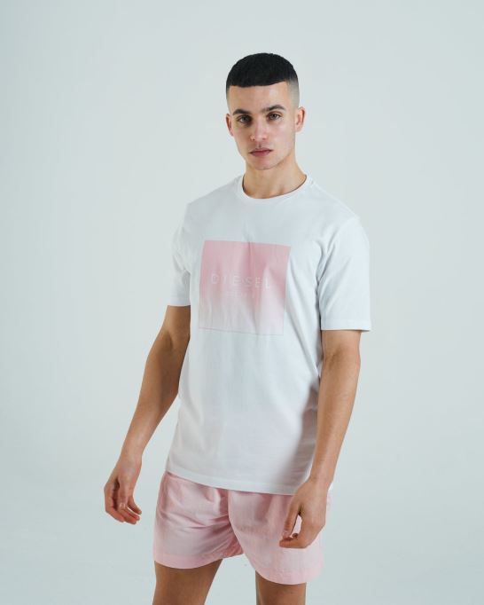 ディーゼルスチュアートティーダブブルー