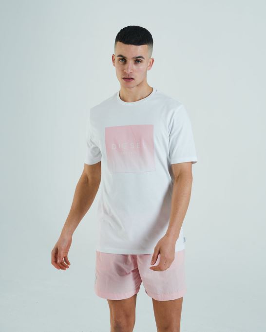 ディーゼルスチュアートティーダブブルー