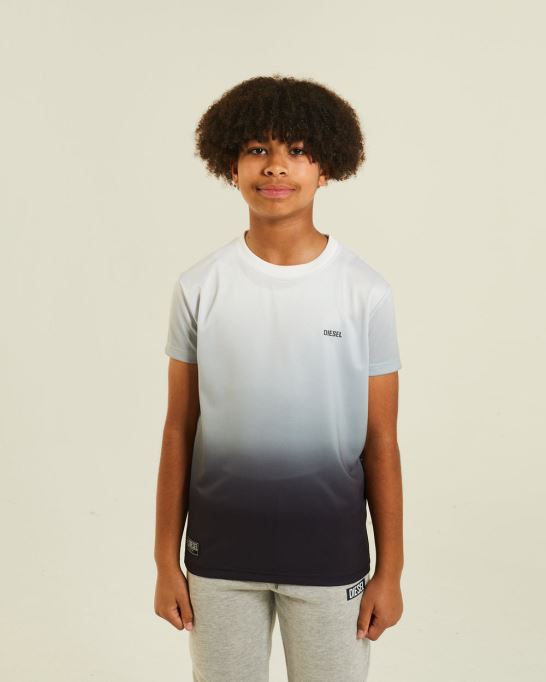 ズマイルティーグレー/ブラックディーゼル