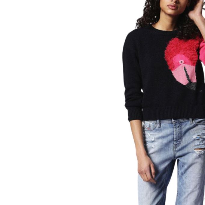 ディーゼル M フラミー A フラミンゴ 0hanu レディース スウェットシャツ クルーネック プルオーバー ニット ジャンパー